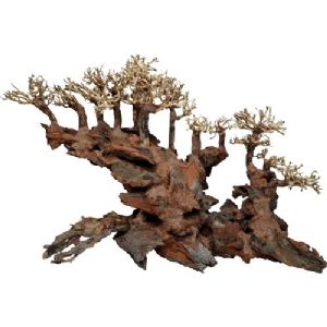 4FISH akvarie dekoration rødder fra bonsaitræ 40 x 30 x 30 cm