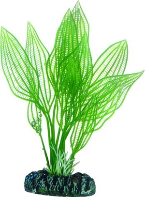 Akvarie plasticplante Aponogeton, 16 cm