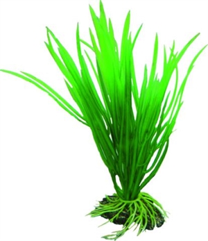 Akvarie plasticplante Cyperus, 16 cm