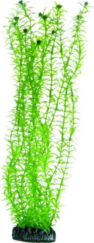 Akvarie plasticplante Lagarosiphon, 34 cm