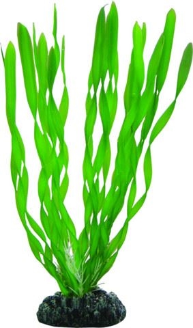 Akvarie plasticplante Vallisneria 20 cm