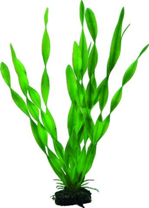 Akvarie plasticplante Vallisneria, 34 cm