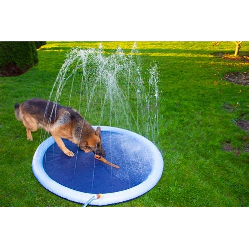 Spændende kød Rouse Køb Companion hunde sprinkel pool diameter 150 cm - hurtig levering.