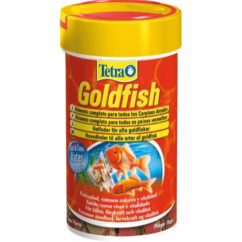 Guldfisk foder