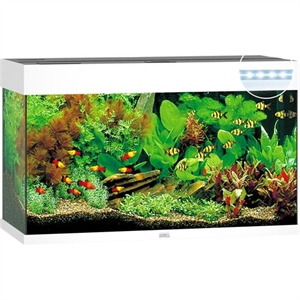 125 liter Juwel akvarie MODEL RIO 125 LED Hvid L. 81 x B. 36 x H. 50 cm