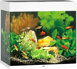 Juwel akvarie Lido 120 liter med led lys - hvid 61 x 41 x 58 cm