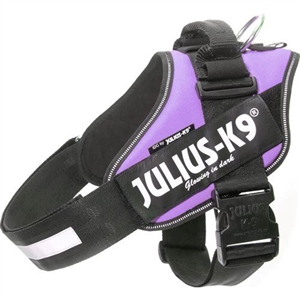 Julius K9 IDC - Hundesele - Bryst størrelse 82 til 115 cm lilla Str. 3