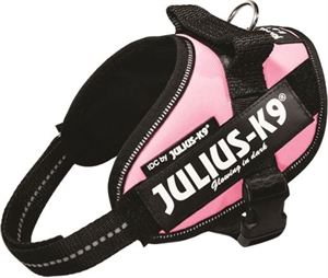 Julius K9 IDC - hundesele - Bryst størrelse 29 til 36 cm pink Str. Baby 1