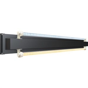 bøf hugge folkeafstemning Køb Juwel Multilux LED lysenhed 70 cm 2x11 W til Trigon 190 og Lido 200 -  hurtig levering.