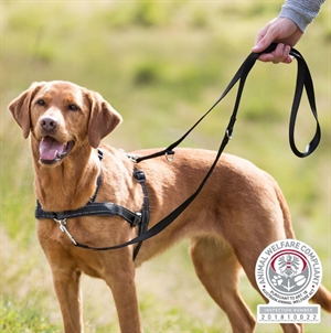 Trixie hunde træningssele brystmål fra 55 til 90 cm 25 mm sort
