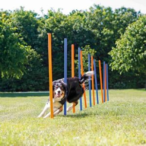 Trixie 12 stk Hunde Agility slalom pinde 115 cm